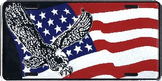 US Flag with Eagle